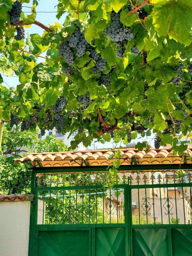 Unique Traditional House, Hosted By J&G تيرانا المظهر الخارجي الصورة