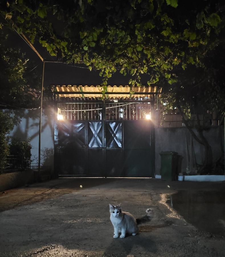 Unique Traditional House, Hosted By J&G تيرانا المظهر الخارجي الصورة