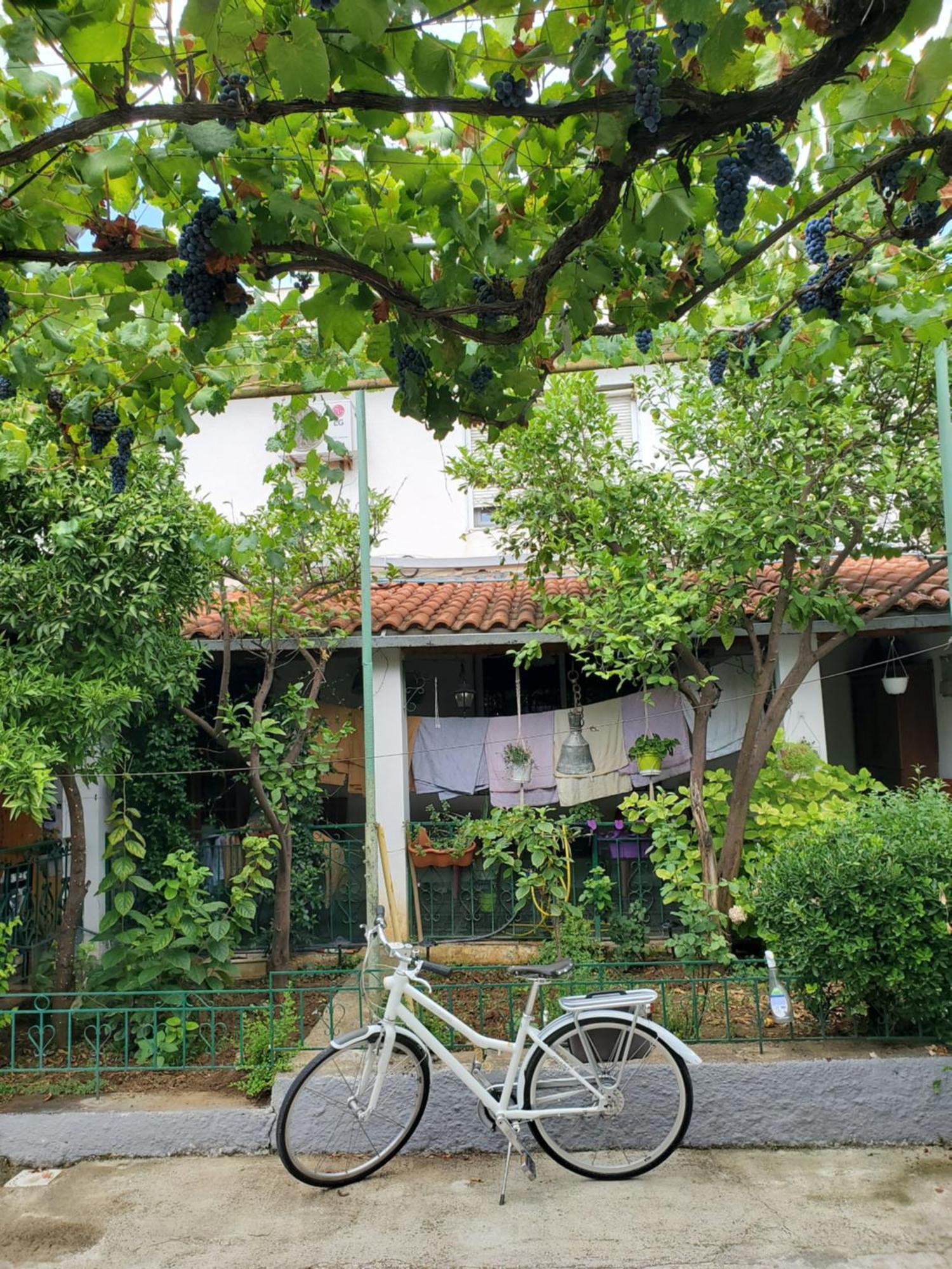 Unique Traditional House, Hosted By J&G تيرانا المظهر الخارجي الصورة