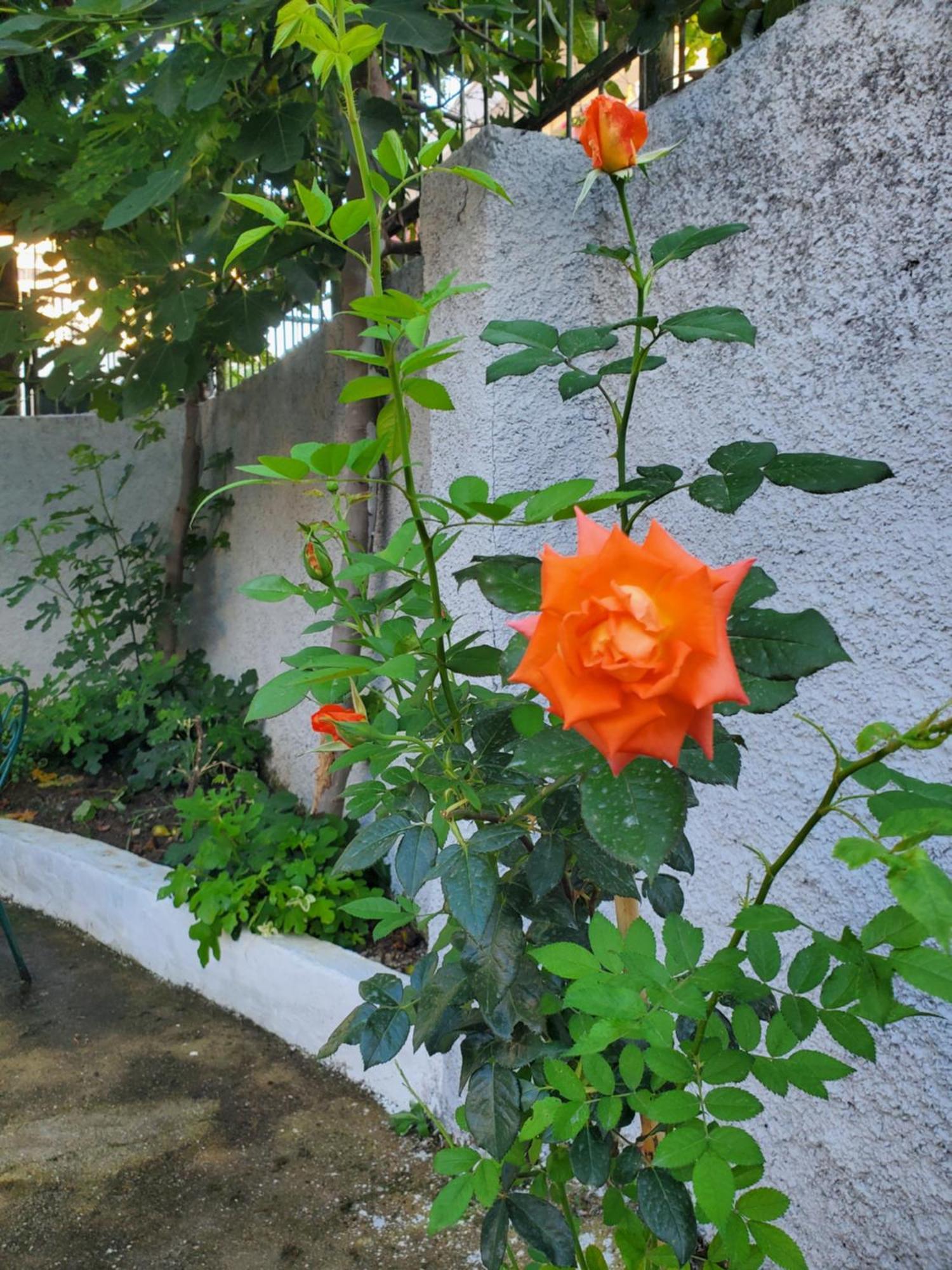 Unique Traditional House, Hosted By J&G تيرانا المظهر الخارجي الصورة
