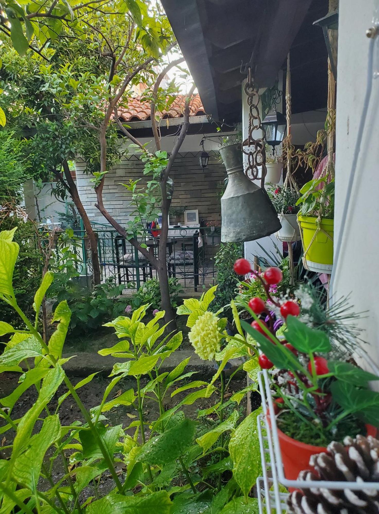 Unique Traditional House, Hosted By J&G تيرانا المظهر الخارجي الصورة